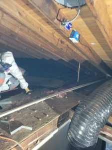 Upper Freehold Township Attic Indoor Air Quality